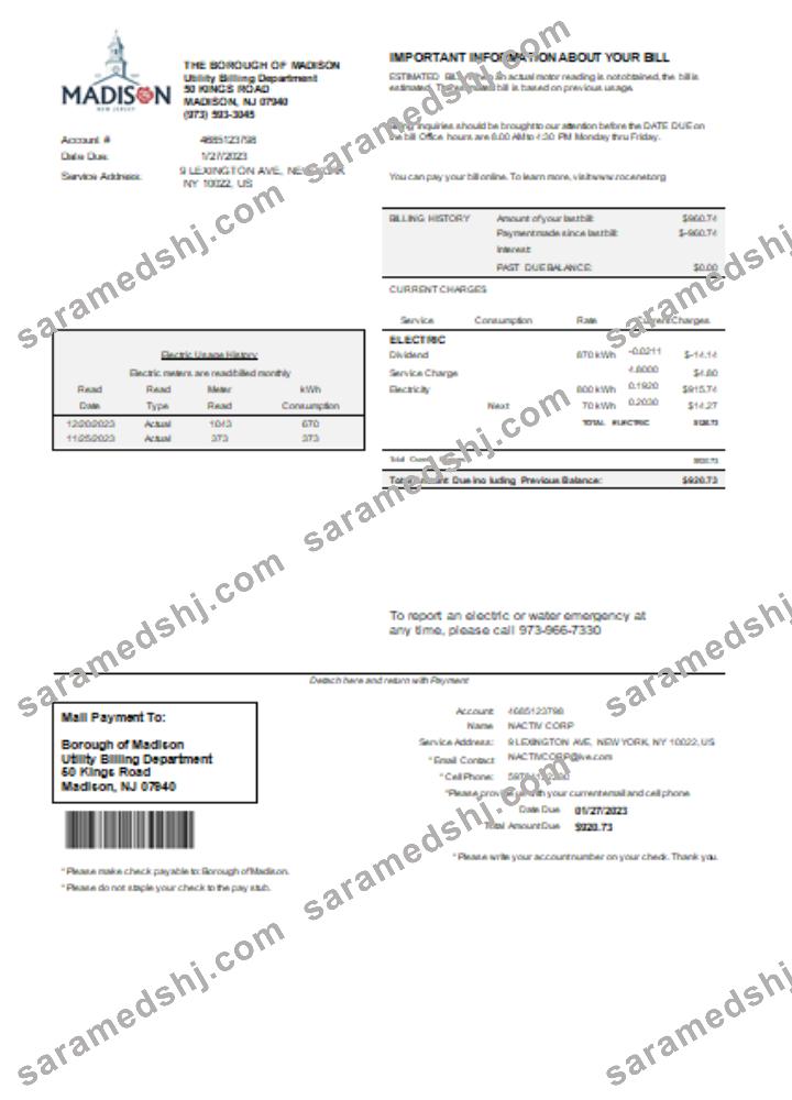 Madison Electric Department utility business bill, SCR